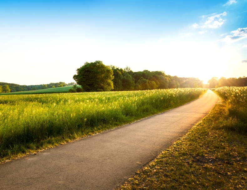 Header image 4